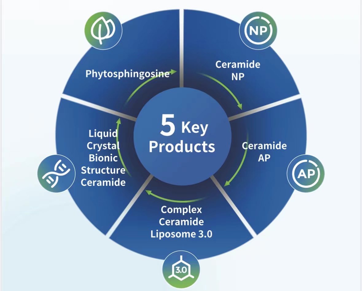 图示
描述已自动生成